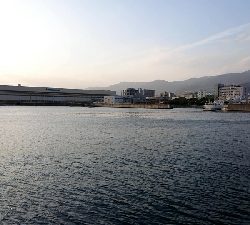 タチウオ釣れたけど