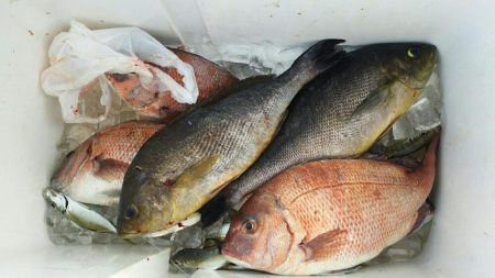 ひさびさ海上釣り堀