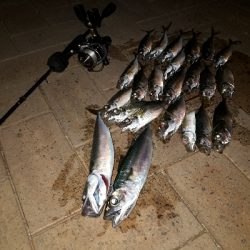 寒風吹きされる中の釣り