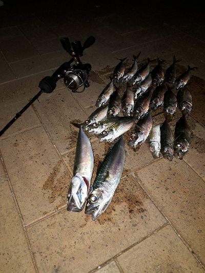 寒風吹きされる中の釣り