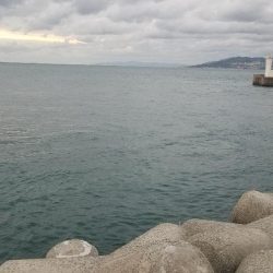 穴釣り　ガシラ&アイナメ