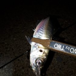 オフになると、釣り