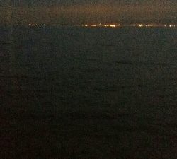 サゴシ狙い的中