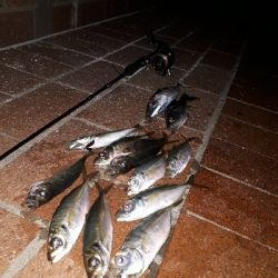 たのいしぃーなぁ~