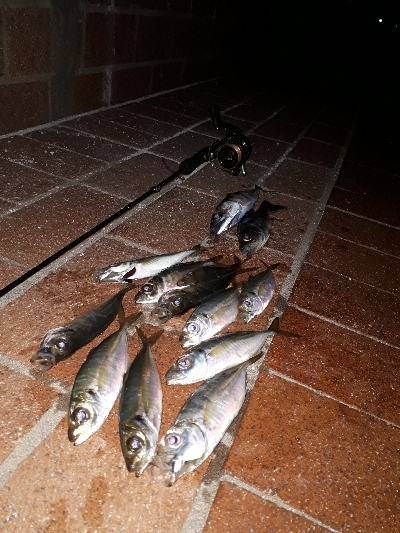 たのいしぃーなぁ~