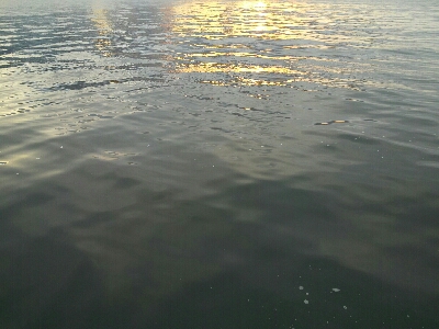 太刀魚シーズン終了戦