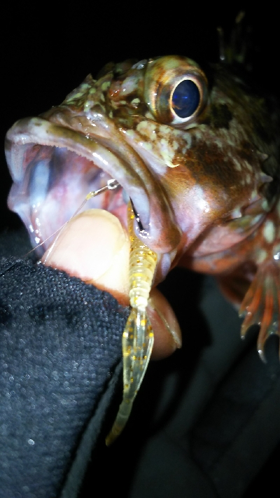 横浜アジは終結？