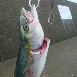 セットアッパーで初