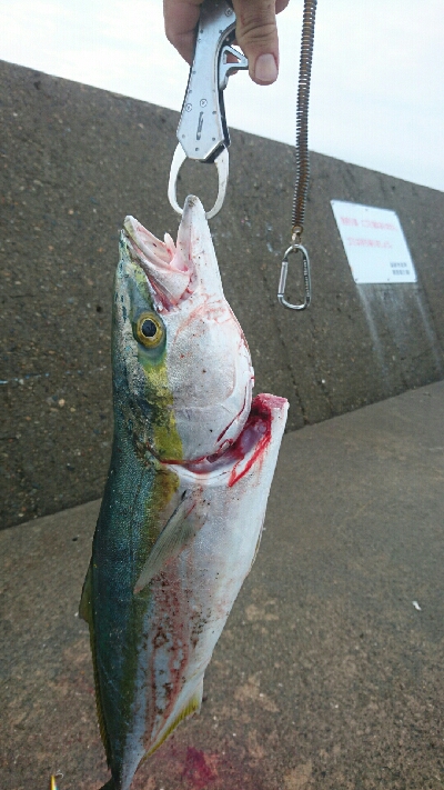 セットアッパーで初