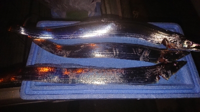 デカ太刀魚を求めて