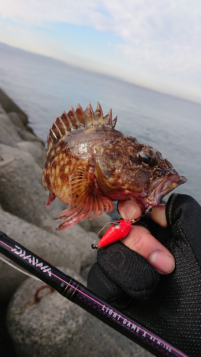日曜日のリベンジ