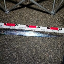 満足しました!!