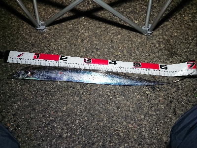 満足しました！！