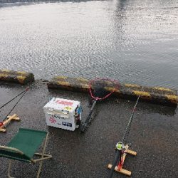 大小堪能できました