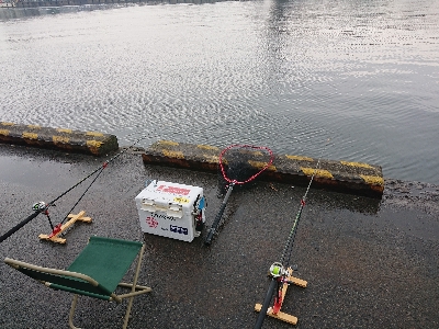 大小堪能できました