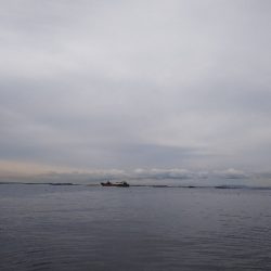 タチウオ不発、のませ不発