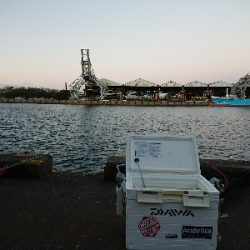 雪舞う中 釣り納め