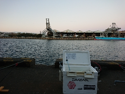 雪舞う中 釣り納め