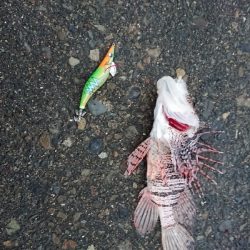 コウイカマンション2号館