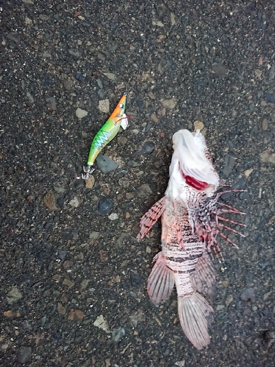 コウイカマンション2号館