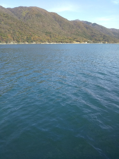 サゴシカッターの嵐