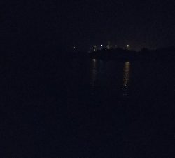 エギングでヒイカ