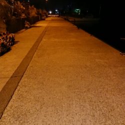 メバリング調査