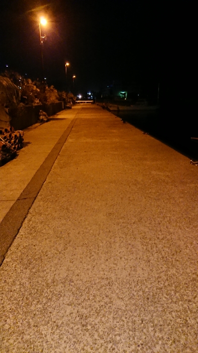 メバリング調査