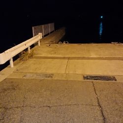 メバリング調査