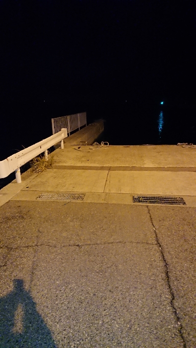 メバリング調査