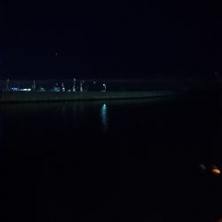 メバリングのつもりが