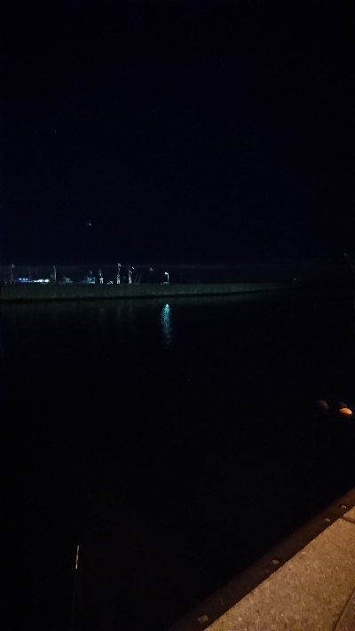 メバリングのつもりが