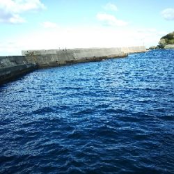 アジング佐田岬遠征①