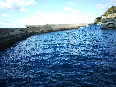 アジング佐田岬遠征①