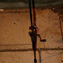 今年最後のメバリング