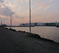 アジ釣りたい！