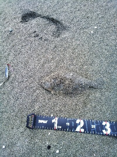 ソゲゲット＿ダイソージグ