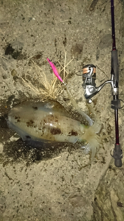 初のボーダー越え‼þ…