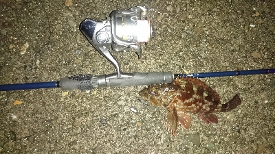 アジングやってみた