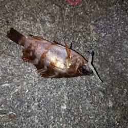 このままでは終わらな〜い