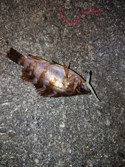 このままでは終わらな〜い