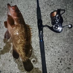 アタリ少ない…