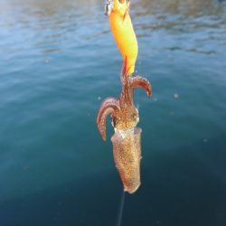 寒さにも負けず