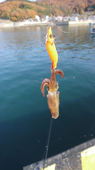 寒さにも負けず