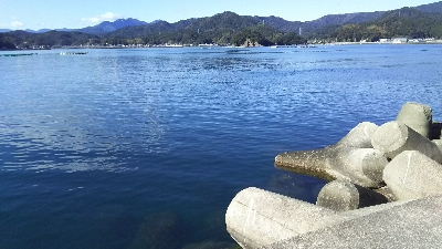 エサとりだらけ…