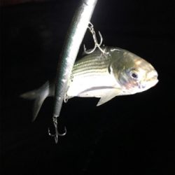 厳しい結果に…