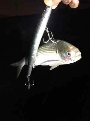 厳しい結果に…