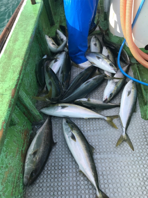 孝洋丸 落とし込み