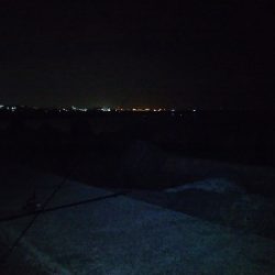 活性は高くない