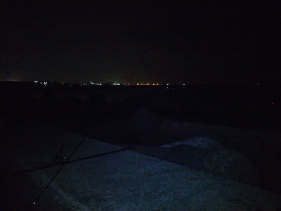 活性は高くない